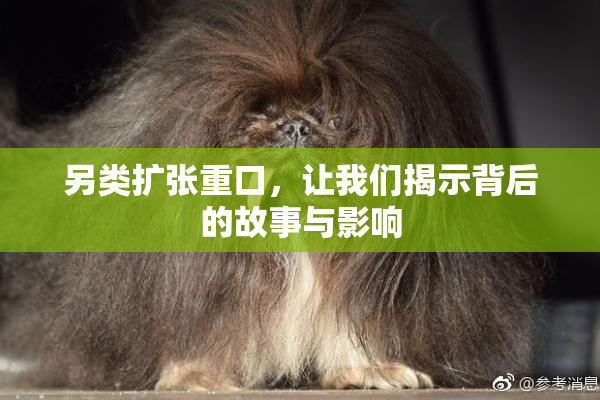 另类扩张重口，让我们揭示背后的故事与影响