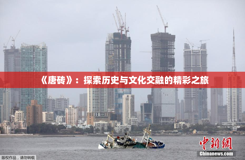 《唐砖》：探索历史与文化交融的精彩之旅