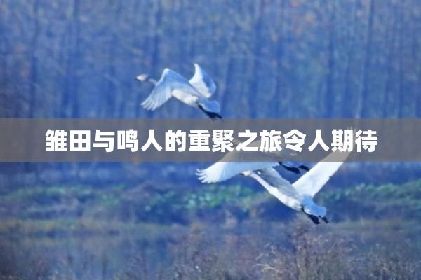 雏田与鸣人的重聚之旅令人期待