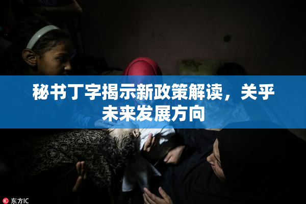 秘书丁字揭示新政策解读，关乎未来发展方向