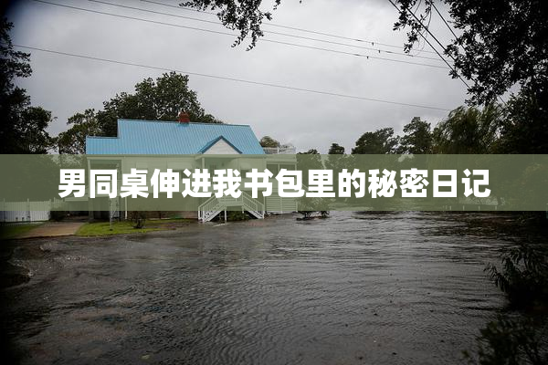 男同桌伸进我书包里的秘密日记