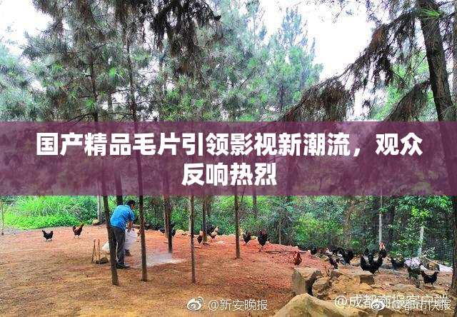 国产精品毛片引领影视新潮流，观众反响热烈