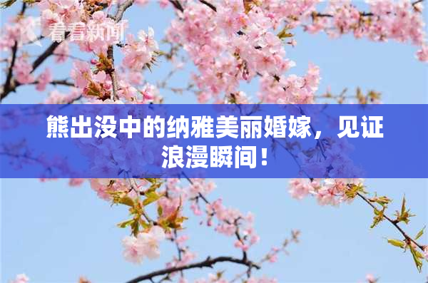 熊出没中的纳雅美丽婚嫁，见证浪漫瞬间！