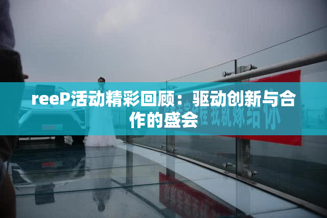reeP活动精彩回顾：驱动创新与合作的盛会