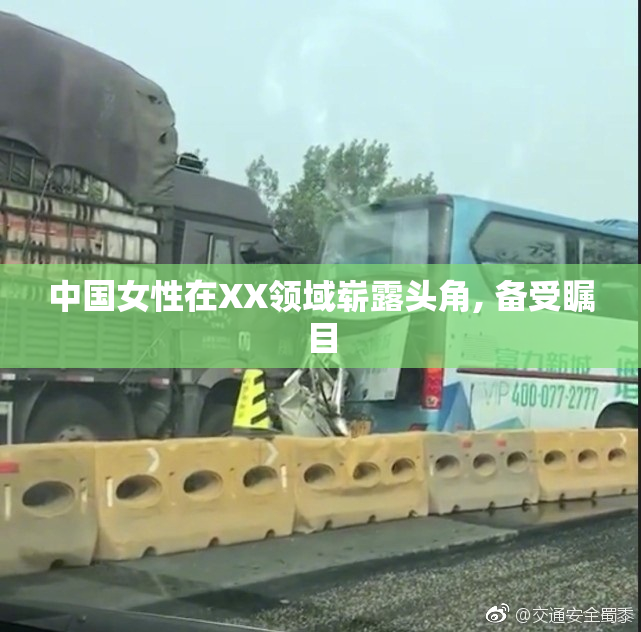 中国女性在XX领域崭露头角, 备受瞩目