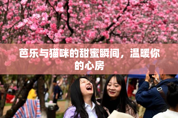 芭乐与猫咪的甜蜜瞬间，温暖你的心房