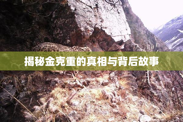 揭秘金克重的真相与背后故事