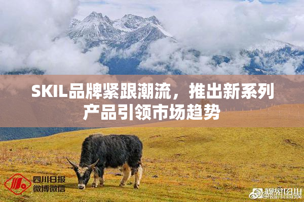 SKIL品牌紧跟潮流，推出新系列产品引领市场趋势
