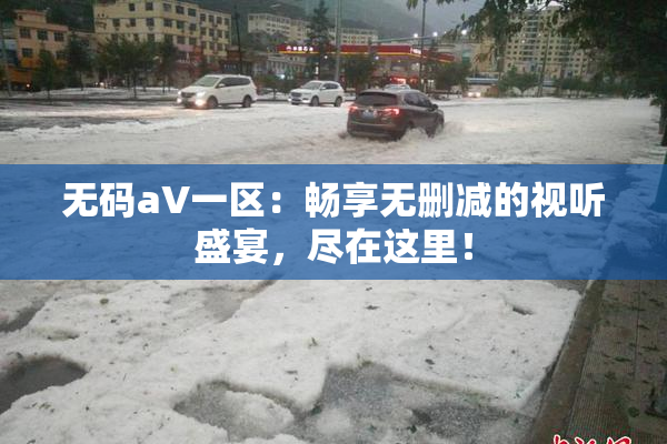 无码aV一区：畅享无删减的视听盛宴，尽在这里！