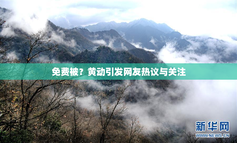 免费被？黄动引发网友热议与关注