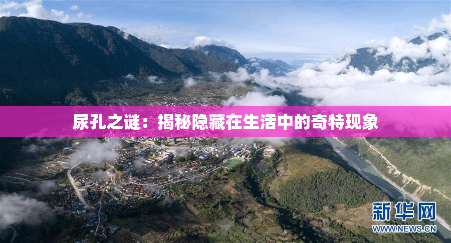 尿孔之谜：揭秘隐藏在生活中的奇特现象