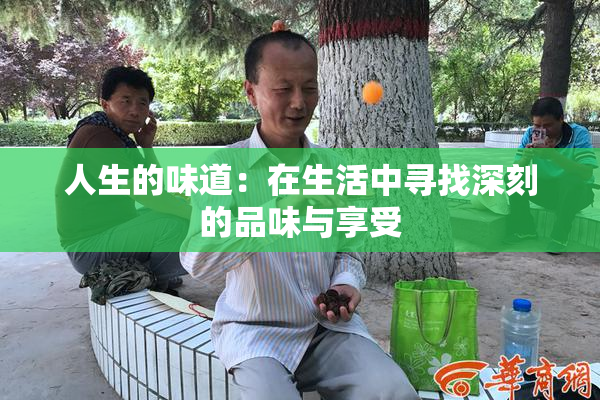 人生的味道：在生活中寻找深刻的品味与享受