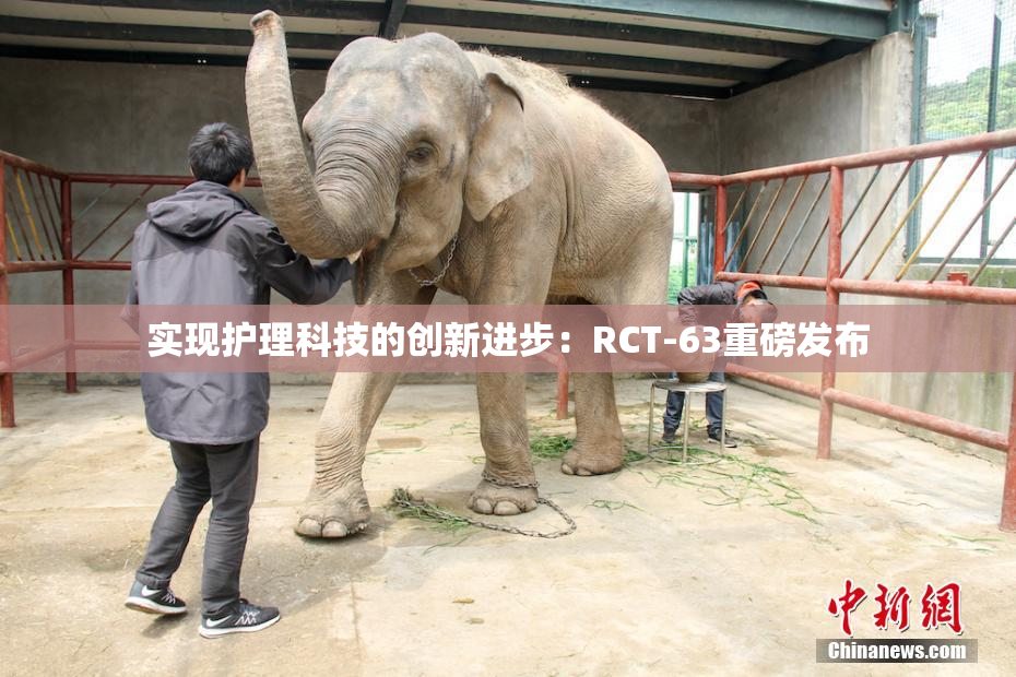 实现护理科技的创新进步：RCT-63重磅发布