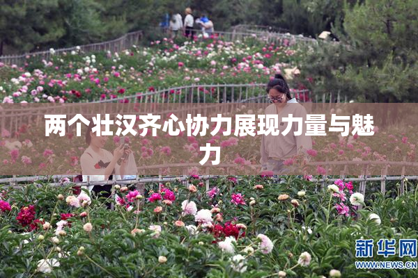 两个壮汉齐心协力展现力量与魅力