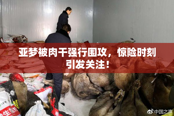 亚梦被肉干强行围攻，惊险时刻引发关注！