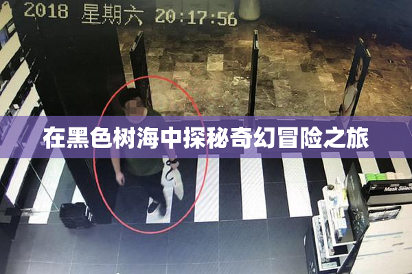 在黑色树海中探秘奇幻冒险之旅