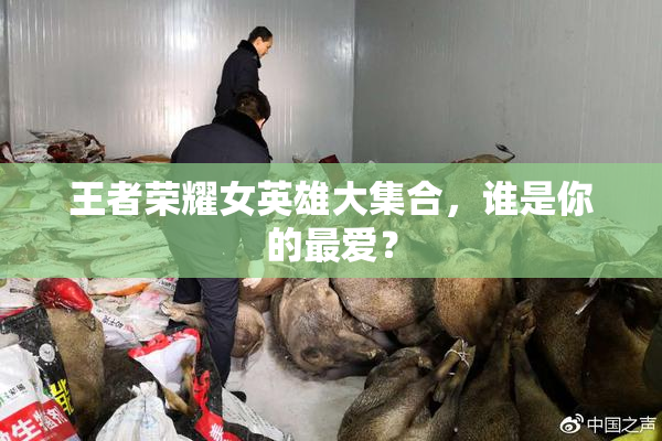 王者荣耀女英雄大集合，谁是你的最爱？