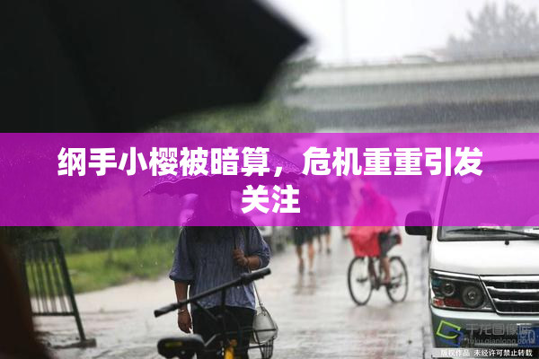 纲手小樱被暗算，危机重重引发关注