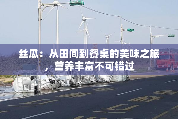 丝瓜：从田间到餐桌的美味之旅，营养丰富不可错过