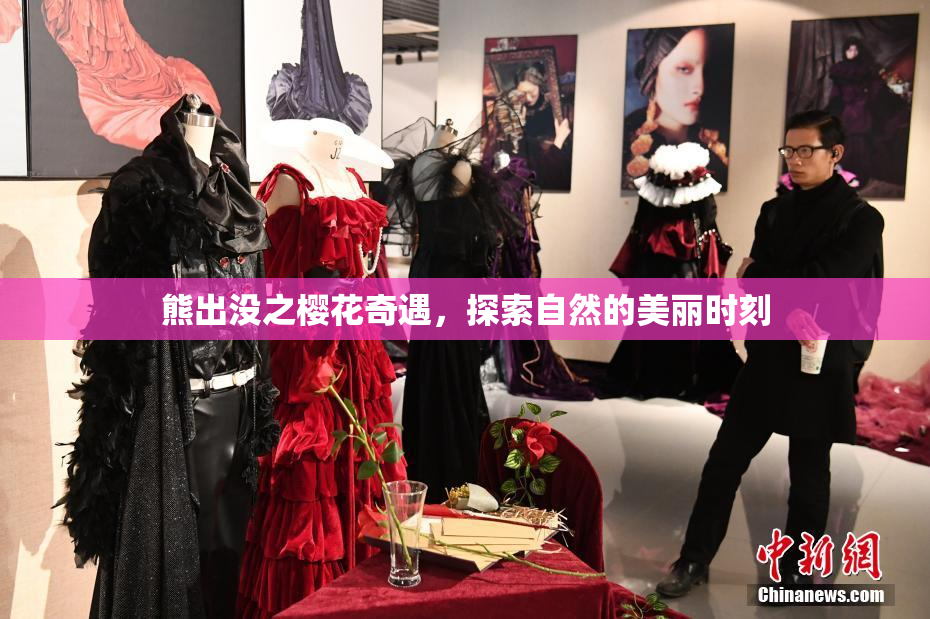 熊出没之樱花奇遇，探索自然的美丽时刻