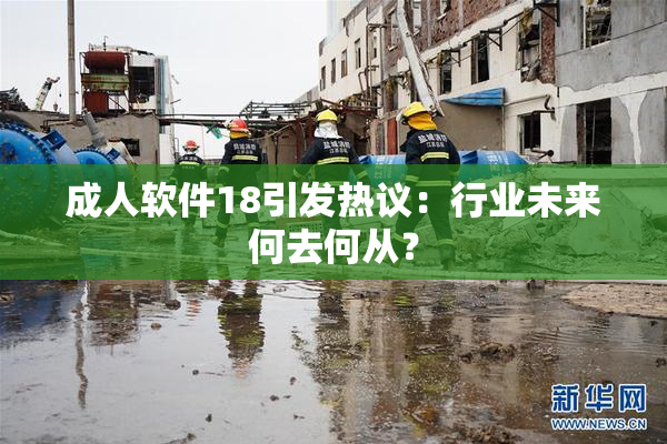 成人软件18引发热议：行业未来何去何从？