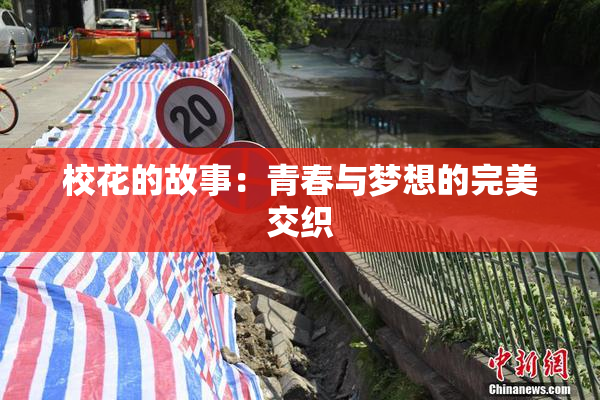 校花的故事：青春与梦想的完美交织