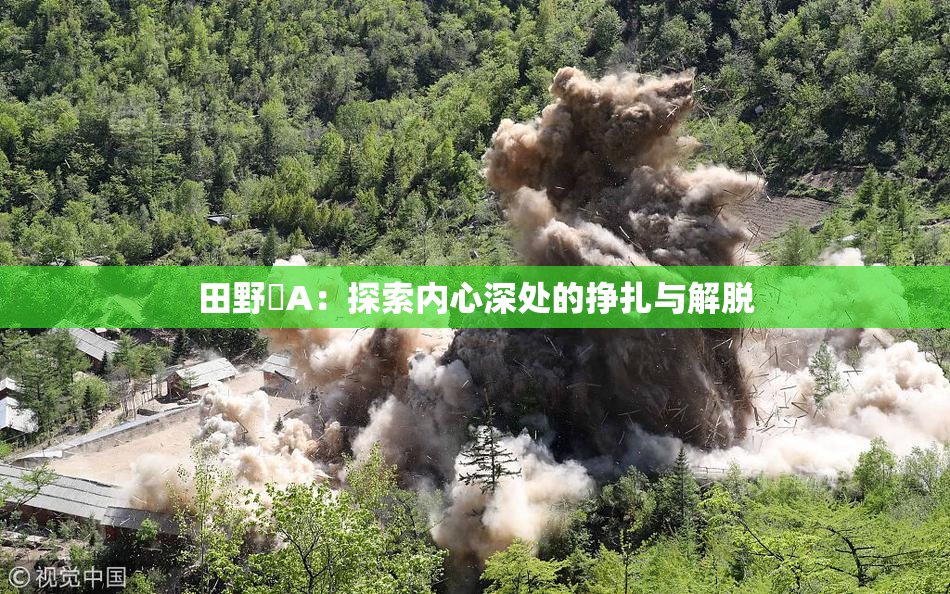 田野憂A：探索内心深处的挣扎与解脱