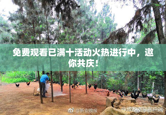 免费观看已满十活动火热进行中，邀你共庆！