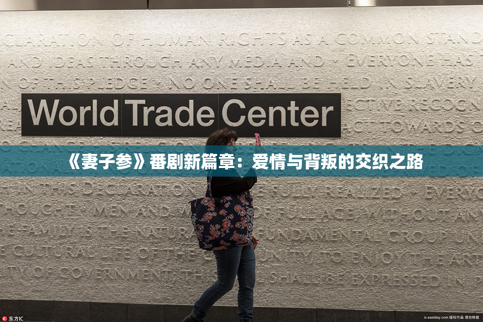《妻子参》番剧新篇章：爱情与背叛的交织之路