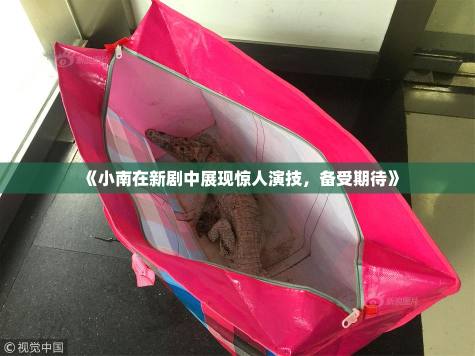 《小南在新剧中展现惊人演技，备受期待》