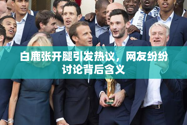 白鹿张开腿引发热议，网友纷纷讨论背后含义