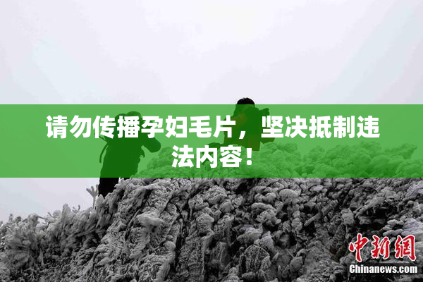 请勿传播孕妇毛片，坚决抵制违法内容！
