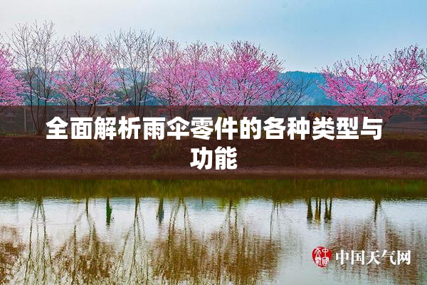 全面解析雨伞零件的各种类型与功能
