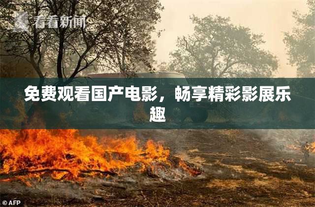 免费观看国产电影，畅享精彩影展乐趣