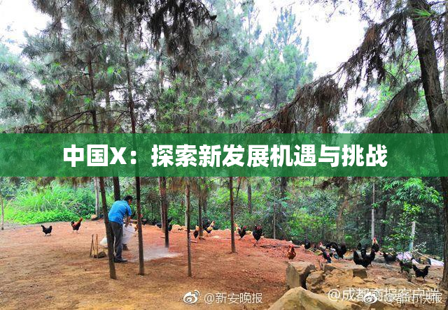 中国X：探索新发展机遇与挑战