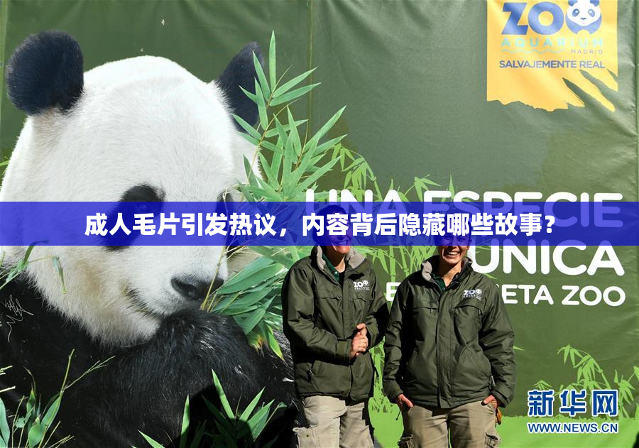 成人毛片引发热议，内容背后隐藏哪些故事？