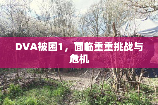 DVA被困1，面临重重挑战与危机