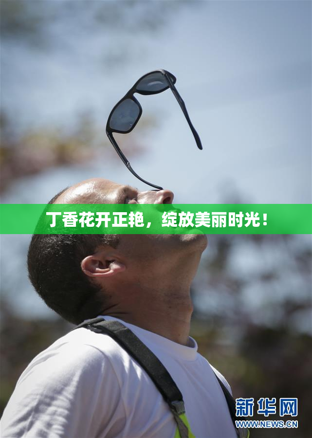 丁香花开正艳，绽放美丽时光！