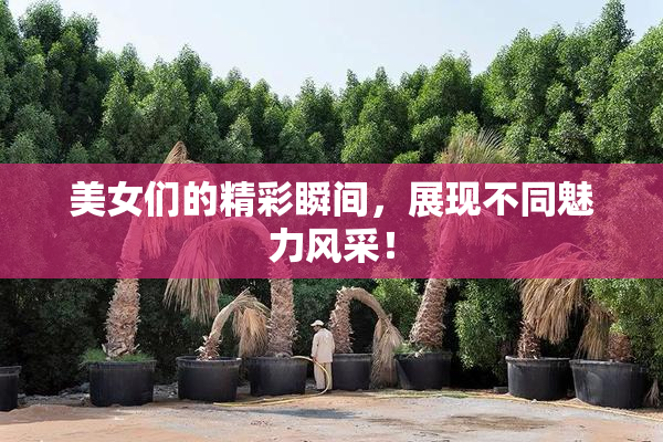 美女们的精彩瞬间，展现不同魅力风采！