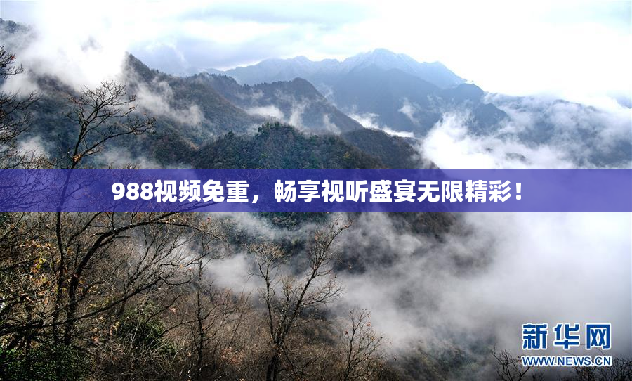 988视频免重，畅享视听盛宴无限精彩！