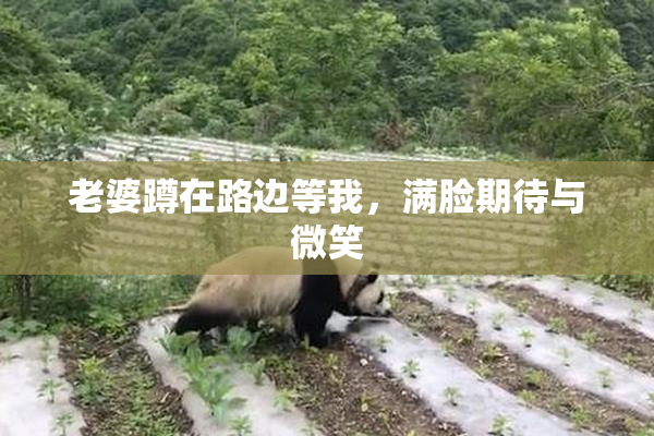 老婆蹲在路边等我，满脸期待与微笑