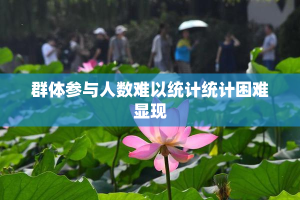 群体参与人数难以统计统计困难显现