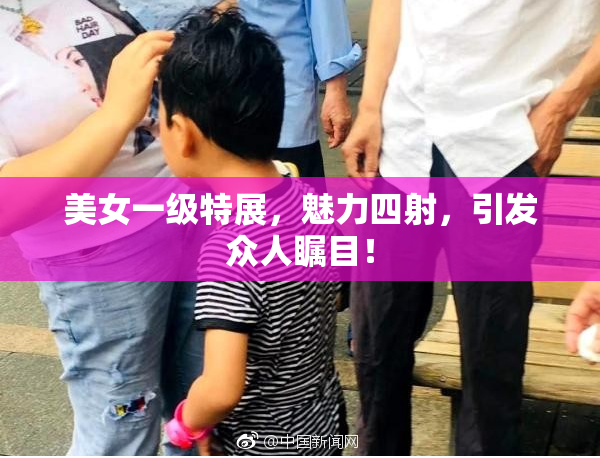 美女一级特展，魅力四射，引发众人瞩目！