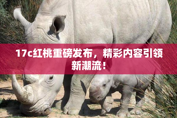 17c红桃重磅发布，精彩内容引领新潮流！