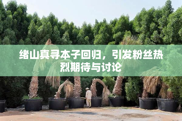 绪山真寻本子回归，引发粉丝热烈期待与讨论