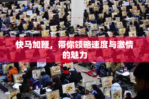 快马加鞭，带你领略速度与激情的魅力