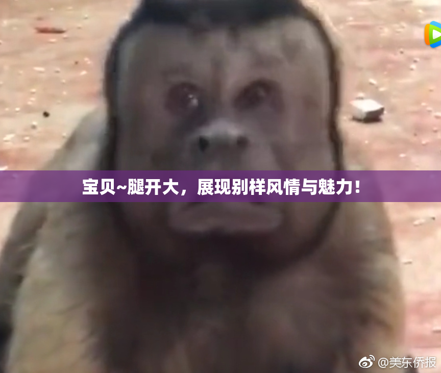 宝贝~腿开大，展现别样风情与魅力！