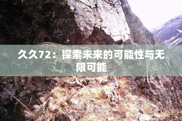 久久72：探索未来的可能性与无限可能
