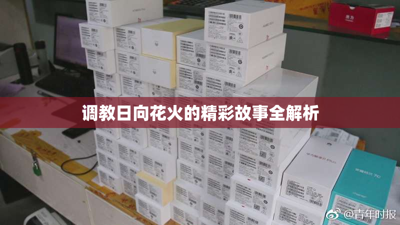 调教日向花火的精彩故事全解析