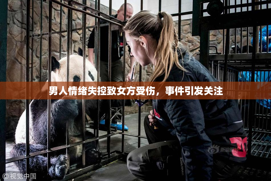 男人情绪失控致女方受伤，事件引发关注